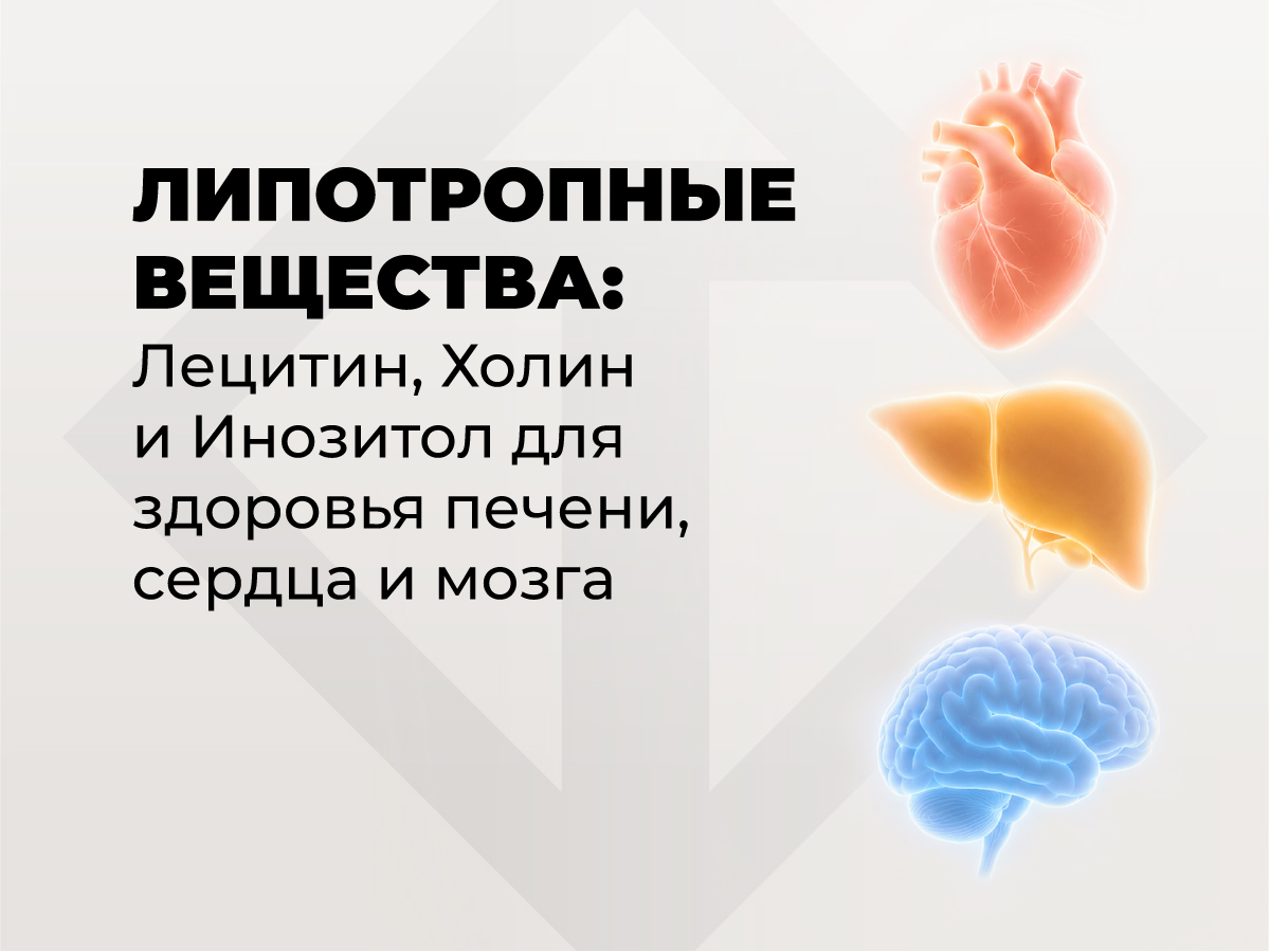 Липотропные вещества: Лецитин, Холин и Инозитол для здоровья печени, сердца и мозга