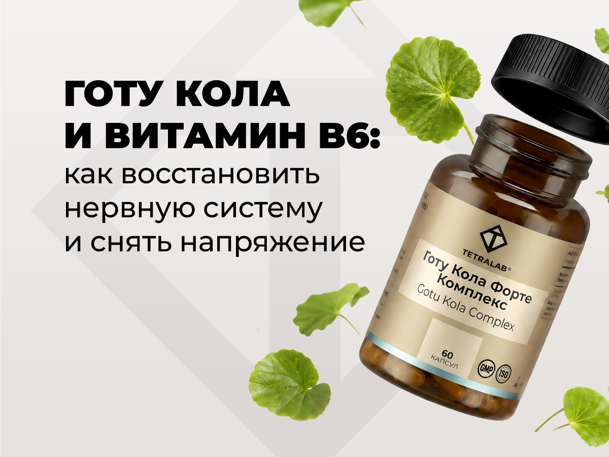 Готу Кола и витамин B6: что это и как они поддерживают нервную систему