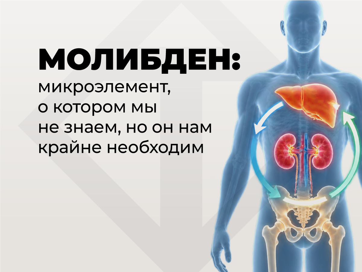 Молибден в организме человека: для чего нужен, где содержится и чем опасен дефицит